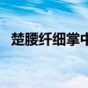 楚腰纖細(xì)掌中輕的意思（楚腰纖細(xì)掌中輕）