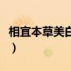 相宜本草美白面膜安全嗎（相宜本草美白面膜）