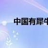 中國有犀牛嗎歷史吧（中國有犀牛嗎）