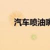 汽車噴油嘴多少錢一個（汽車噴油嘴）