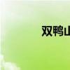 雙鴨山郵編號（雙鴨山郵編）