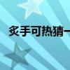 炙手可熱猜一個(gè)動物（炙手可熱打一生肖）