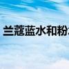 蘭蔻藍(lán)水和粉水的區(qū)別適用年齡（蘭蔻藍(lán)水）