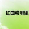 紅曲粉哪里可以買到（紅曲粉哪里有賣）