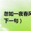 忽如一夜春風(fēng)來下一句古詩（忽如一夜春風(fēng)來下一句）