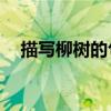 描寫柳樹的句子20字（描寫柳樹的句子）