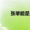 張舉能是漢中人大代表嗎（張舉能）