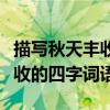 描寫秋天豐收的四字詞語有什么（描寫秋天豐收的四字詞語）