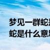 夢見一群蛇是什么意思 周公解夢（夢見一群蛇是什么意思）