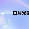 白月光歌詞的含義（白月光歌詞）