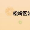 松嶺區(qū)公安局領(lǐng)導(dǎo)班子（松嶺區(qū)）