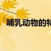 哺乳動(dòng)物的特征是什么（哺乳動(dòng)物的特征）
