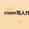 cnxm罵人什么意思（罵人cnm什么意思）