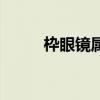 枠眼鏡屬于什么檔次（枠牌眼鏡）