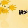 鍋爐煤是什么煤（鍋爐煤）