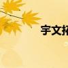 宇文拓與小雪（宇文拓小雪）
