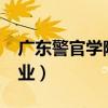 廣東警官學(xué)院就業(yè)率高嗎?（廣東警官學(xué)院就業(yè)）