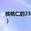 核桃仁的23種吃法圖片(核桃仁的23種吃法) 核桃仁的23種吃法圖片(核桃仁的23種吃法)