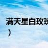 滿天星白玫瑰花語是什么（白玫瑰花語是什么）