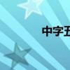 中字五行屬什么寓意(中字) 中字五行屬什么寓意(中字)