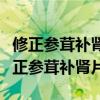 修正參茸補腎片和一正參茸補腎片哪個好（修正參茸補腎片）