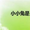 小小兔是月野兔的女兒嗎（小小兔）