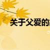 關于父愛的故事名人（關于父愛的故事）