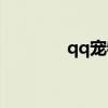qq寵物豬頭像（qq寵物豬）