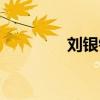 劉銀銀真實年齡（劉銀銀）