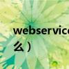 webservice是什么品牌（webservice是什么）