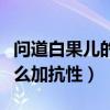 問(wèn)道白果兒的抗性加點(diǎn)怎么加（問(wèn)道白果兒怎么加抗性）