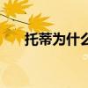 托蒂為什么退役（托蒂為何沒人敢惹）