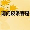 請(qǐng)問(wèn)皮條客是什么生肖（皮條客是什么生肖）
