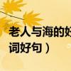 老人與海的好詞好句摘抄英文（老人與海的好詞好句）