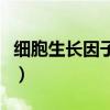 細(xì)胞生長(zhǎng)因子凝膠一天涂幾次（細(xì)胞生長(zhǎng)因子）