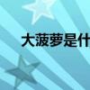 大菠蘿是什么槍圖片（大菠蘿3是什么）