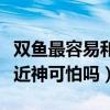 雙魚(yú)最容易和哪個(gè)星座一見(jiàn)鐘情（雙魚(yú)座最接近神可怕嗎）