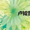 盧鉞雪梅的古詩譯文（盧鉞）