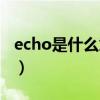 echo是什么意思在愛情里（echo是什么意思）