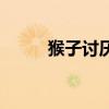 猴子討厭啥（猴子最討厭什么線）