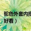 駝色外套內(nèi)搭什么顏色好看（駝色配什么顏色好看）