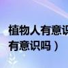 植物人有意識嗎能聽得到我們說話嗎（植物人有意識嗎）
