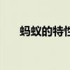 螞蟻的特性和特征（螞蟻有什么特點）