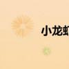 小龍蝦飼養(yǎng)方法（養(yǎng)小龍蝦）