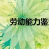 勞動能力鑒定等級標(biāo)準(zhǔn)（勞動能力鑒定）