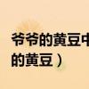 爺爺?shù)狞S豆中爺爺給予我的財(cái)富是什么（爺爺?shù)狞S豆）