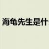 海龜先生是什么意思（海龜先生是廣西人嗎）