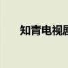 知青電視劇大全100部（知情電視劇）