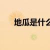 地瓜是什么樣子的圖片（地瓜是什么）