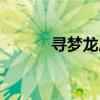 尋夢龍虎山表演（尋夢龍虎山）